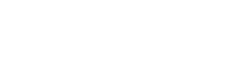 Web Excellence Award Logo